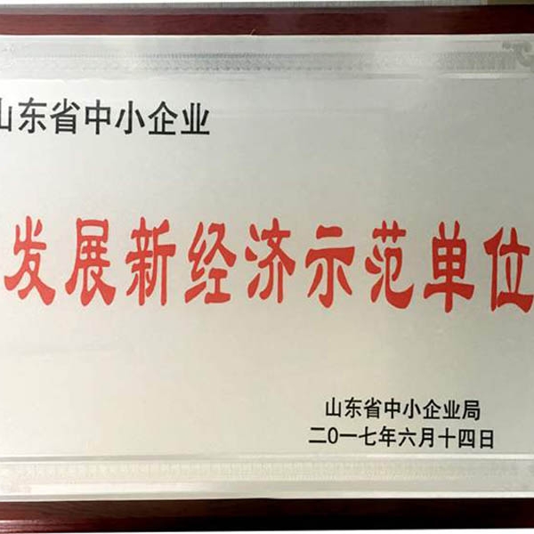 山東發展新經濟示范單位